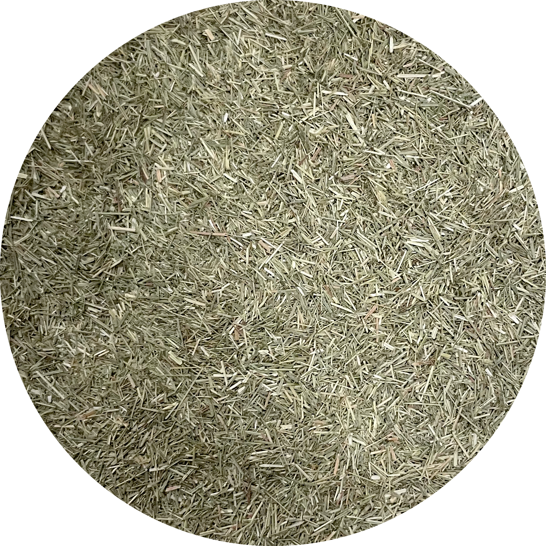 De Kruidenshop Gesneden Citroengras (Sereh) – Fris & aromatisch voor oosterse gerechten