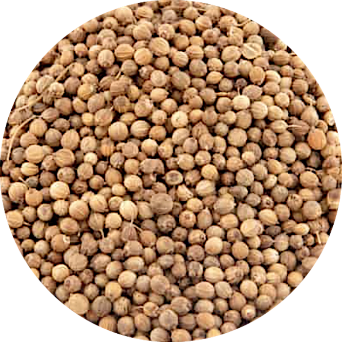 De Kruidenshop Korianderzaad Heel – Aromatische smaakmaker voor je keuken