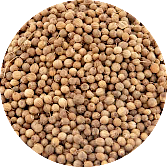 De Kruidenshop Korianderzaad Heel – Aromatische smaakmaker voor je keuken