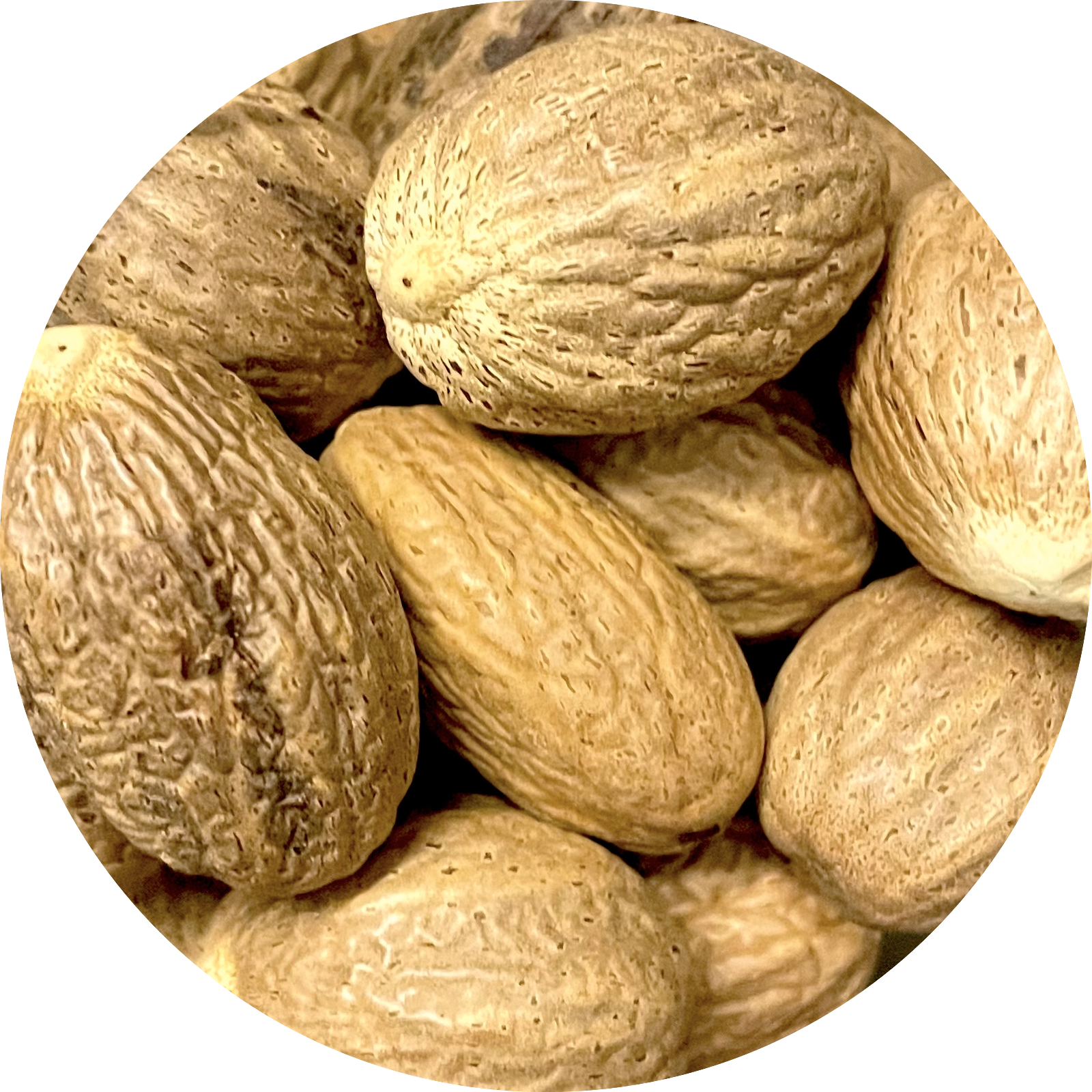 De Kruidenshop Heerlijke muskaatnoten – 100% puur en natuurlijk