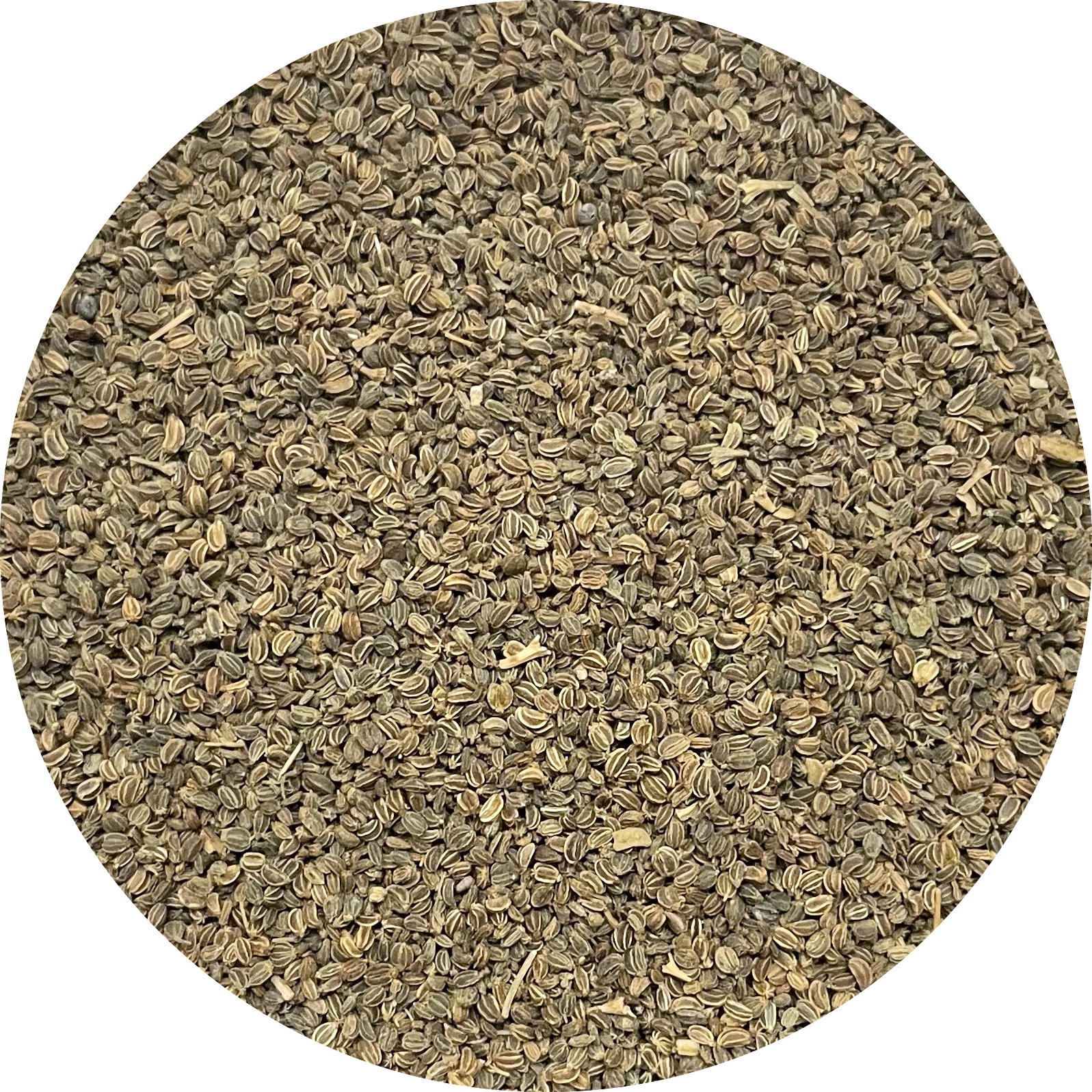 De Kruidenshop Selderijzaad – 100% natuurlijk voor soepen, stoofpotten & meer