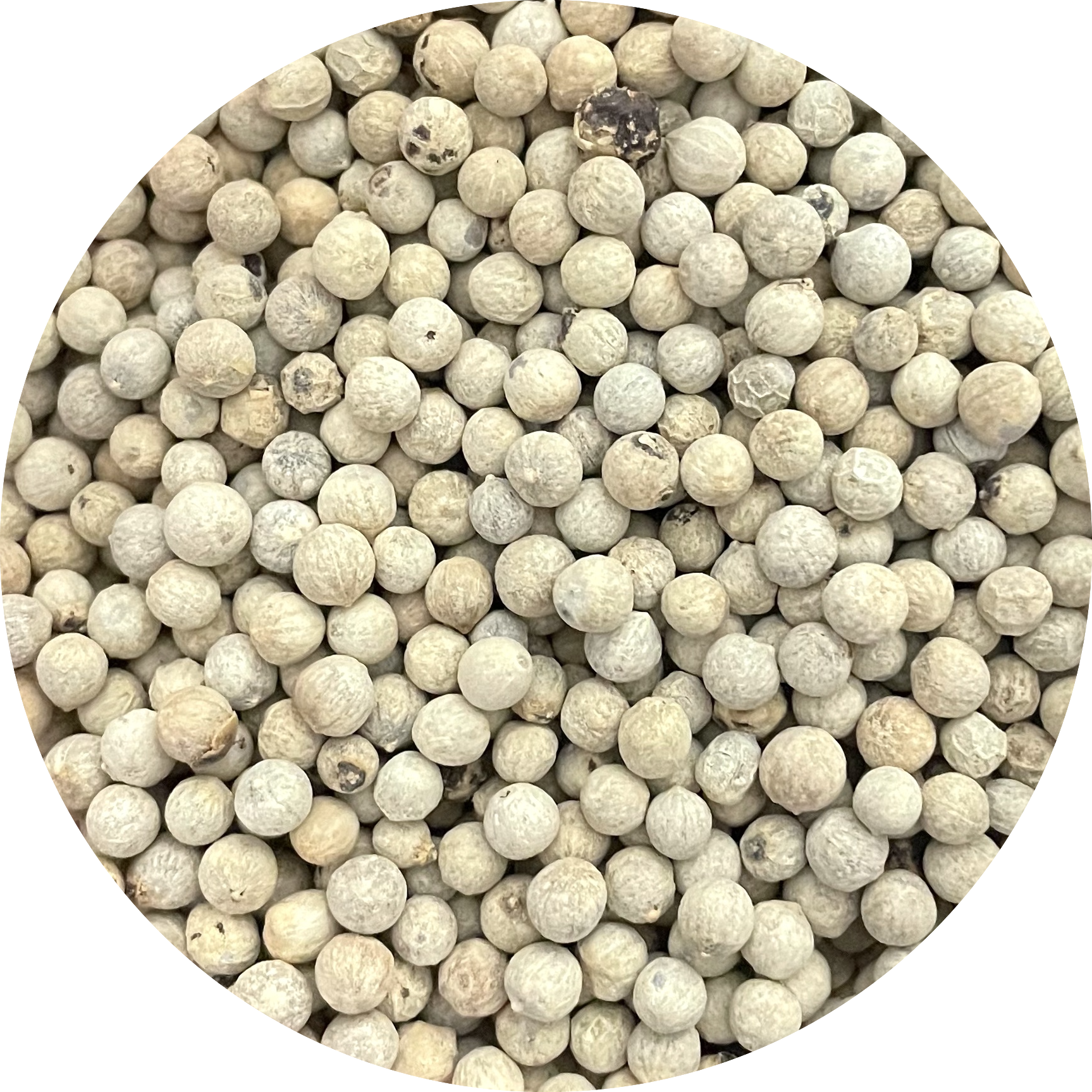 De Kruidenshop Witte Peper – Puur Natuur voor de Beste Smaak