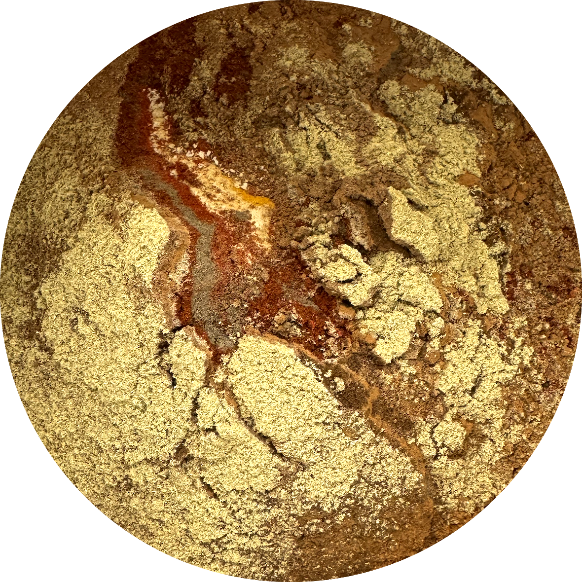 De Kruidenshop Premium Indische Gehaktballetjes