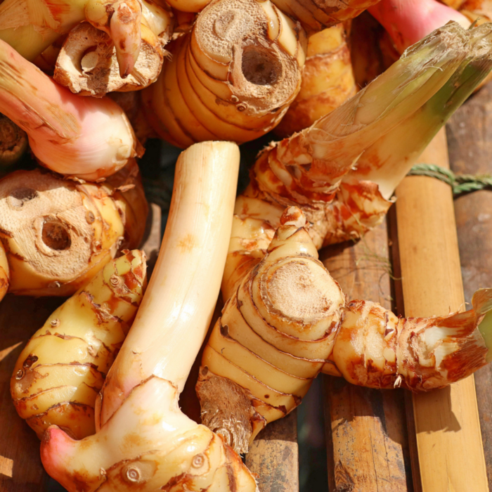 De Kruidenshop Thaise gember (laos of galanga) voor curry en wok