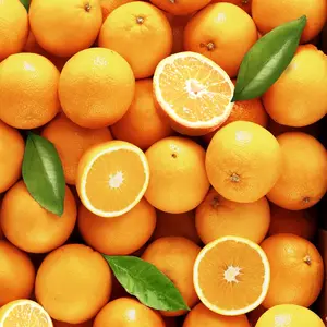 Aromica ® Appelsienpoeder voor desserts, smoothies en gebak
