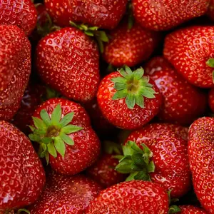 Aromica ® Aardbeipoeder voor desserts, smoothies en gebak