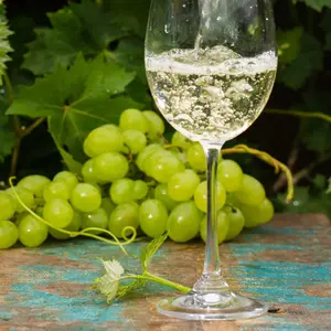 Domaine des terres rouges Franse mosterd met Rieslingwijn