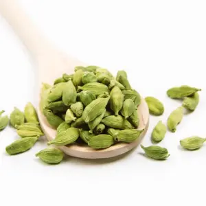 De Kruidenshop Groene kardemompeulen voor chai, curry en koffie