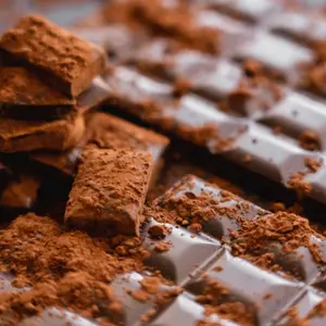 De Kruidenshop Ongezoet cacaopoeder voor gebak en chocolademelk