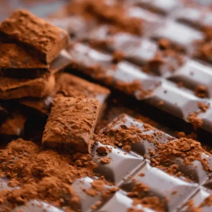 De Kruidenshop Ongezoet cacaopoeder voor gebak en chocolademelk