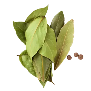 De Kruidenshop Gedroogde laurierblaadjes voor stoofpotten en soep