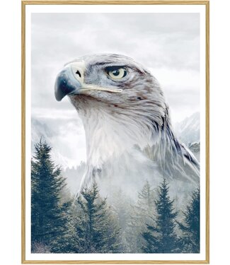 Faunascapes Faunascapes Poster Eagle (different sizes)