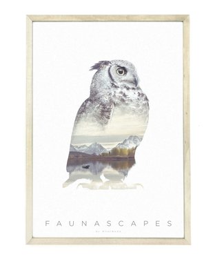 Faunascapes Faunascapes Poster Uil (diverse maten)