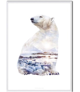Faunascapes Faunascapes Poster Polar Bear(different sizes)
