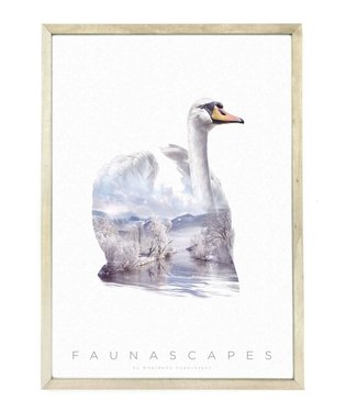 Faunascapes Faunascapes Poster Swan (different sizes)