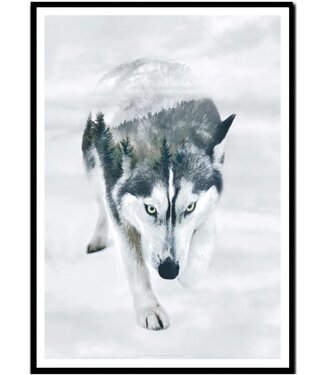 Faunascapes Faunascapes Poster Siberian Husky  (different sizes)