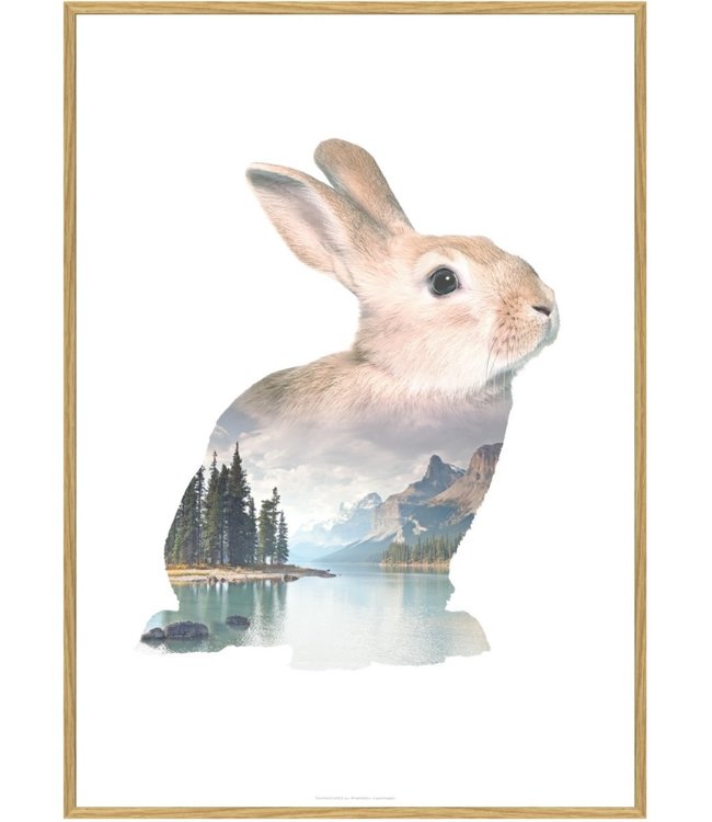 Faunascapes Faunascapes Poster Rabbit (different sizes)