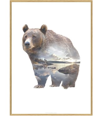 Faunascapes Faunascapes Poster Bear 50 x 70cm