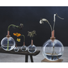 Scandinaviaform Scandinavia Form Vaasje Glasilium Transparent Ø85mm Medium Scandinaviaform Scandinavia Form Vaasje Glasilium Transparent Ø85mm Medium