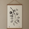 Teemu Järvi Teemu Järvi Oak Poster Frame Set 30cm Teemu Järvi Teemu Järvi Oak Poster Frame Set 30cm