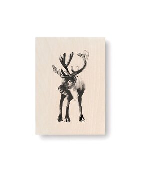 Teemu Järvi Teemu Järvi Multiplex Kaart Rendier 10x15cm Teemu Järvi Teemu Järvi Multiplex Kaart Rendier 10x15cm