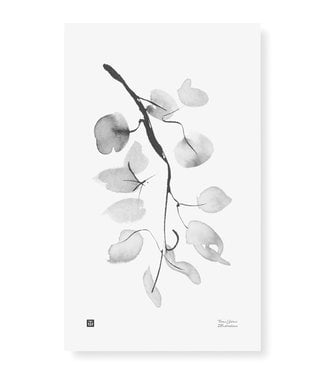 Teemu Järvi Teemu Järvi Poster Birch Branch 30 x 50 cm