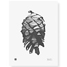 Teemu Järvi Teemu Järvi Poster Pine Cone 30 x 40 cm Teemu Järvi Teemu Järvi Poster Pine Cone 30 x 40 cm