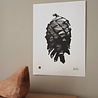 Teemu Järvi Teemu Järvi Poster Pine Cone 30 x 40 cm Teemu Järvi Teemu Järvi Poster Pine Cone 30 x 40 cm