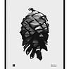 Teemu Järvi Teemu Järvi Poster Pine Cone 30 x 40 cm Teemu Järvi Teemu Järvi Poster Pine Cone 30 x 40 cm