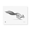 Teemu Järvi Teemu Järvi Poster Squirrel 30 x 40 cm Teemu Järvi Teemu Järvi Poster Squirrel 30 x 40 cm