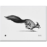 Teemu Järvi Teemu Järvi Poster Squirrel 30 x 40 cm Teemu Järvi Teemu Järvi Poster Squirrel 30 x 40 cm