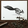 Teemu Järvi Teemu Järvi Poster Squirrel 30 x 40 cm Teemu Järvi Teemu Järvi Poster Squirrel 30 x 40 cm