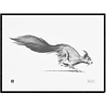 Teemu Järvi Teemu Järvi Poster Squirrel 30 x 40 cm Teemu Järvi Teemu Järvi Poster Squirrel 30 x 40 cm