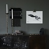 Teemu Järvi Teemu Järvi Poster Squirrel 30 x 40 cm Teemu Järvi Teemu Järvi Poster Squirrel 30 x 40 cm