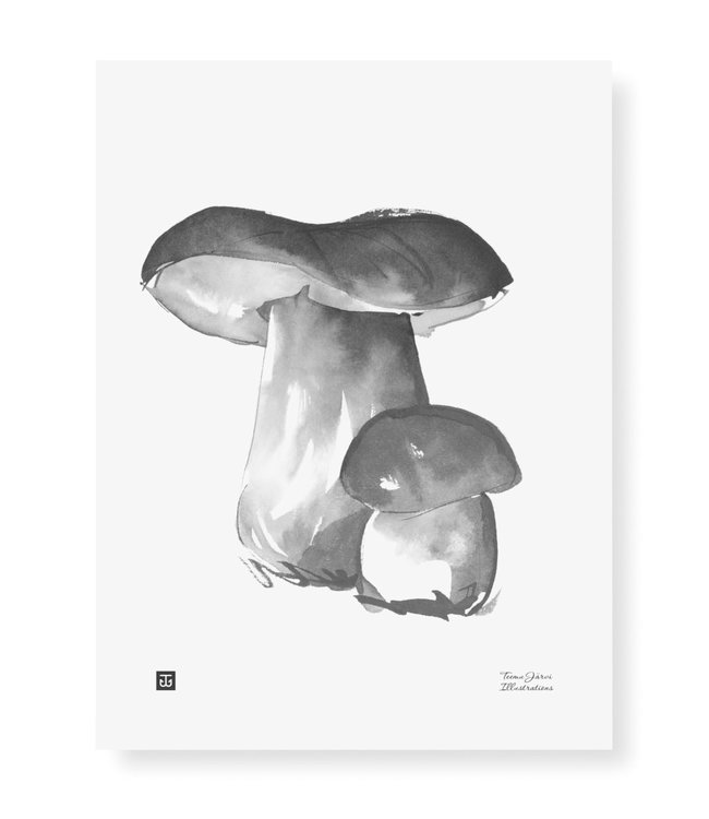 Teemu Järvi Teemu Järvi Poster Porcini Mushroom 30 x 40 cm