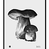 Teemu Järvi Teemu Järvi Poster Porcini Mushroom 30 x 40 cm Teemu Järvi Teemu Järvi Poster Porcini Mushroom 30 x 40 cm