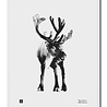 Teemu Järvi Teemu Järvi Poster Reindeer 30 x 40 cm Teemu Järvi Teemu Järvi Poster Reindeer 30 x 40 cm