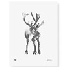 Teemu Järvi Teemu Järvi Poster Reindeer 30 x 40 cm Teemu Järvi Teemu Järvi Poster Reindeer 30 x 40 cm