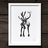 Teemu Järvi Teemu Järvi Poster Reindeer 30 x 40 cm Teemu Järvi Teemu Järvi Poster Reindeer 30 x 40 cm