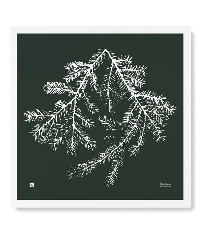 Teemu Järvi Teemu Järvi Poster Spruce Branch 50 x 50 cm