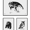 Teemu Järvi Teemu Järvi Poster Wolf 50 x 70 cm Teemu Järvi Teemu Järvi Poster Wolf 50 x 70 cm