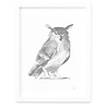 Teemu Järvi Teemu Järvi Poster Owl 30 x 40 cm Teemu Järvi Teemu Järvi Poster Owl 30 x 40 cm