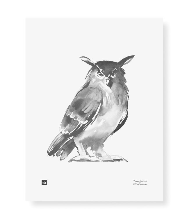 Teemu Järvi Teemu Järvi Poster Owl 30 x 40 cm