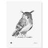 Teemu Järvi Teemu Järvi Poster Owl 30 x 40 cm Teemu Järvi Teemu Järvi Poster Owl 30 x 40 cm