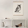 Teemu Järvi Teemu Järvi Poster Owl 30 x 40 cm Teemu Järvi Teemu Järvi Poster Owl 30 x 40 cm