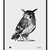 Teemu Järvi Teemu Järvi Poster Owl 30 x 40 cm Teemu Järvi Teemu Järvi Poster Owl 30 x 40 cm