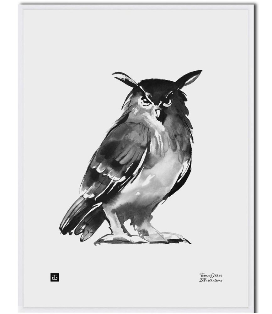 Teemu Järvi Teemu Järvi Poster Uil 30 x 40 cm (zonder lijst) Teemu Järvi Teemu Järvi Poster Uil 30 x 40 cm (zonder lijst)