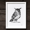 Teemu Järvi Teemu Järvi Poster Owl 30 x 40 cm Teemu Järvi Teemu Järvi Poster Owl 30 x 40 cm