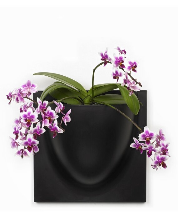 Verti Copenhagen VertiPlants BIO Wandpot 30x30cm Zwart
