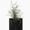 Verti Copenhagen Verti Copenhagen VertiPlants BIO Wandpot 30x30cm Zwart Verti Copenhagen Verti Copenhagen VertiPlants BIO Wandpot 30x30cm Zwart